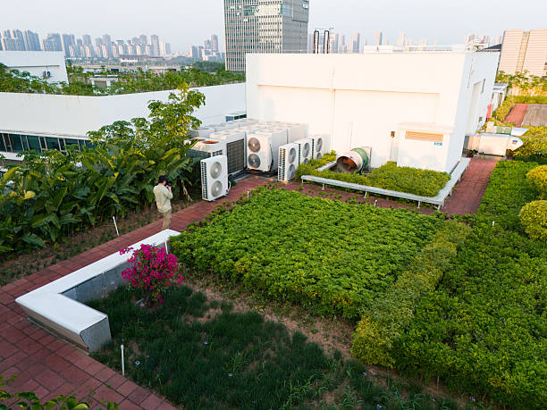 Green rooftop and natural visual restoration